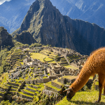ماچوپیچو؛ مقصدی افسانه‌ای و پر رمز و راز در پرو