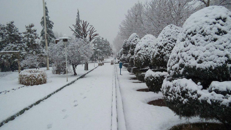 برف بازی در پارک ملت