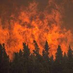 آتش‌سوزی جنگل‌های زاگرس | یک تلخی بی‌پایان و دردناک