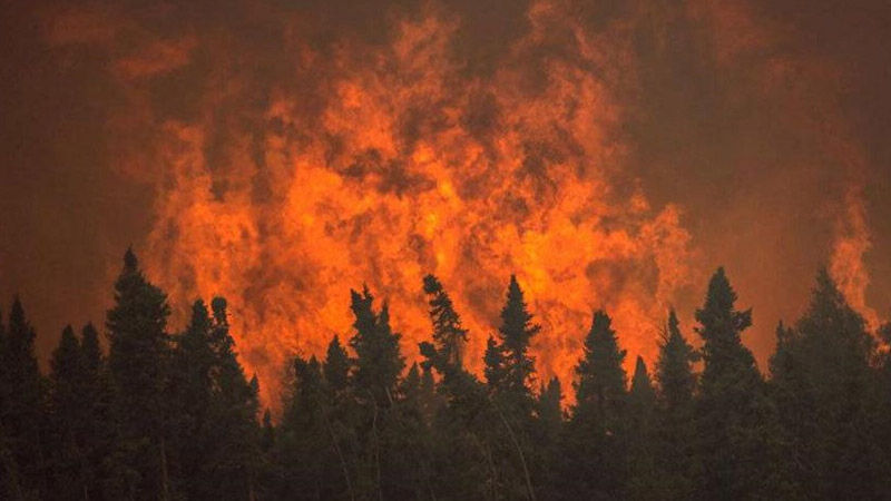 آتش‌سوزی جنگل‌های زاگرس